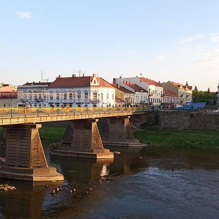 Затишна Двокімнатна Квартира В Самому Серці Ужгорода Uzhhorod Εξωτερικό φωτογραφία