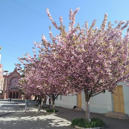 Затишна Двокімнатна Квартира В Самому Серці Ужгорода Uzhhorod Εξωτερικό φωτογραφία