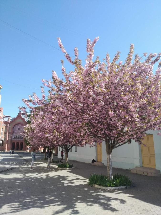 Затишна Двокімнатна Квартира В Самому Серці Ужгорода Uzhhorod Εξωτερικό φωτογραφία